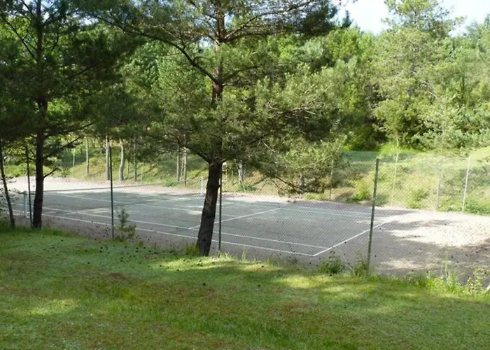 Kemping Mobil-home Confortable Avec Terrasse A - Api-1-52-683 *